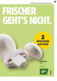 Eurogast Grissemann Flugblatt Seite 3