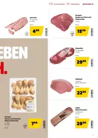 Eurogast Grissemann Flugblatt Seite 5