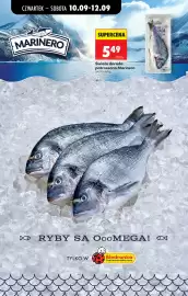 Biedronka gazetka tydzień 37 Strona 33