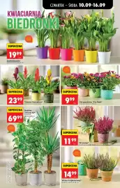 Biedronka gazetka tydzień 37 Strona 93