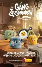 Biedronka gazetka Strona 1