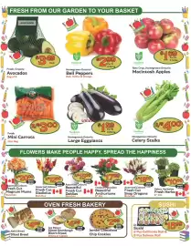 The Garden Basket flyer week 37 Page 2