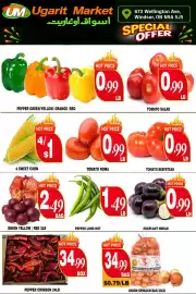 Ugarit Market flyer week 37 Page 4