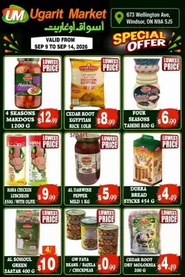 Ugarit Market (valid until 14-09)