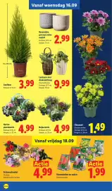 Lidl folder week 38 Pagina 17
