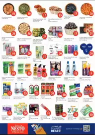 Nesto catalogue Page 5