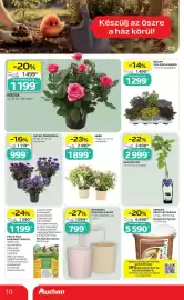 Auchan akciós újság hét 37 Oldal 10: HEBE €1.899,00, ORCHIDEA KERÁMIA KASPÓ €799,00