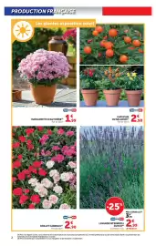Catalogue Hyper U | Jardin page 2