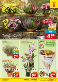 Netto Marken-Discount Prospekt Seite 19