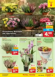 Netto Marken-Discount Prospekt Seite 33