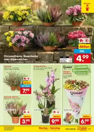 Netto Marken-Discount Prospekt Seite 19