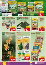 Netto Marken-Discount Prospekt Seite 44