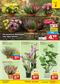 Netto Marken-Discount Prospekt Seite 19