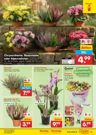 Netto Marken-Discount Prospekt Seite 19