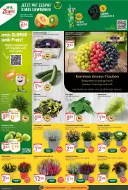 Globus Prospekt woche 38 Seite 6
