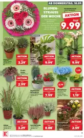 Kaufland Prospekt woche 37 Seite 9