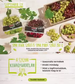 Interspar akciós újság hét 37 Oldal 22