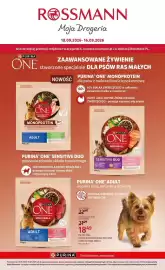 Rossmann gazetka tydzień 37 Strona 5: Lirene, krem do twarzy €15,99, Eveline Cosmetics, podkład do twarzy €16,49