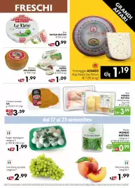 Volantino Maxi Family Pagina 3: Formaggio Crema del Piave €1,09, Brie Paysan Breton €0,99