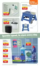 Aldi leaflet Page 17: Magnetic Window Cleaner €4,99, Folding Step Stool €3,99