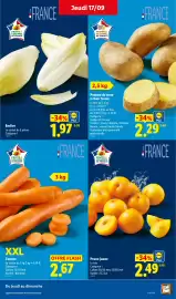 Catalogue Lidl semaine 38 page 3: Carotte €2,67, Prune jaune €2,49