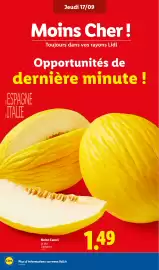 Catalogue Lidl semaine 38 page 4: Melon Canari €1,49