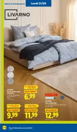 Catalogue Lidl semaine 38 page 60