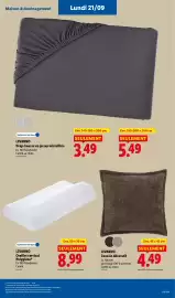 Catalogue Lidl semaine 38 page 61: LIVARNO Coussin décoratif €4,49, LIVARNO Oreiller cervical Polygiene® €8,99