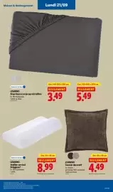 Catalogue Lidl semaine 38 page 61: LIVARNO Coussin décoratif €4,49, LIVARNO Oreiller cervical Polygiene® €8,99