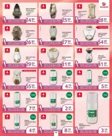 Selgros gazetka Strona 32: Znicz Hebe 150 G €25,90, Wkład Parafinowy Angela €19,92