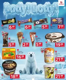 Selgros gazetka Strona 35: Lody Bracia Koral €19,99, Lody Rożek Koral €2,49