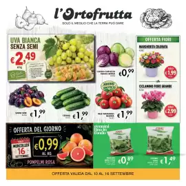 Volantino èccoMI Pagina 6: Ciclamino fiore grande €2,99, Margherita colorata €1,99