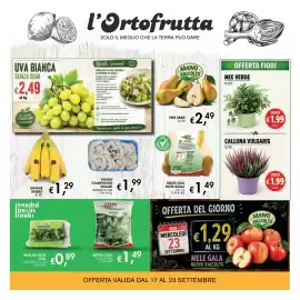 Volantino èccoMI Pagina 7: Calluna vulgaris €1,99, Mix verde €1,99