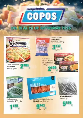 Congelados Copos (válido hasta el 23-09)