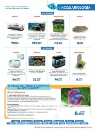 Volantino Joe Zampetti Pagina 15: Acquario dal design moderno ed elegante €69,99, Aquario Ciano Aqua 60 Askoll €109,99