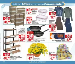 Volantino Il Gigante Pagina 26: Lagestina set 2 padelle antiaderenti €19,95, Crisantemo settembrino €4,50
