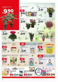 Volantino Bennet Pagina 26: Crisantemo €2,99, Snack per gatti Catisfactions €2,99