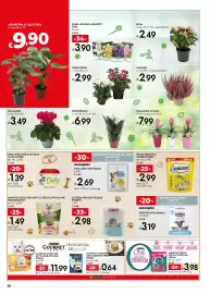 Volantino Bennet Pagina 26: Crisantemo €2,99, Snack per gatti Catisfactions €2,99