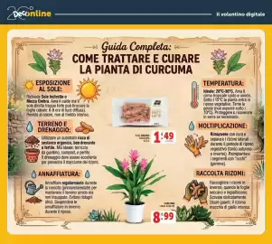 Volantino Deco Superstore Pagina 42: F.LLI ORSERO CURCUMA €1,49, Curcuma €8,99