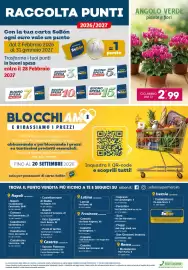Volantino SeBón Supermercati Pagina 12: Ciclaminio DM 12 €2,99, Buono spesa €10,00