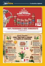 Volantino Deco Supermercati Pagina 40: F.LLI ORSERO CURCUMA €1,49, Curcuma €8,99