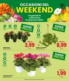 Volantino Eurospar Pagina 3: Pothos in basket €8,99, Ciclamino mini €1,99