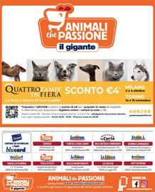 Volantino Il Gigante Pagina 8