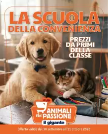 Volantino Il Gigante Pagina 1