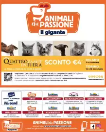 Volantino Il Gigante Pagina 8