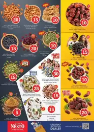 Nesto catalogue Page 11