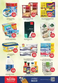 Nesto catalogue Page 13
