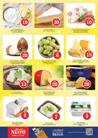 Nesto catalogue Page 14