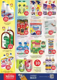 Nesto catalogue Page 17