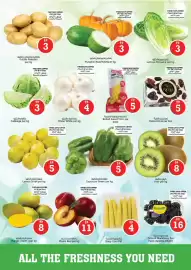 Nesto catalogue Page 2